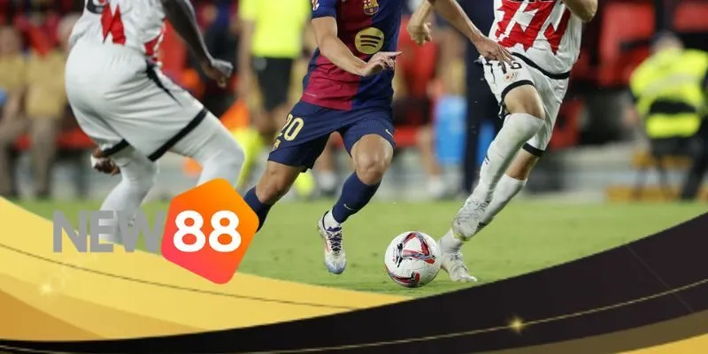 Các loại kèo được áp dụng đều cơ bản, dễ chơi