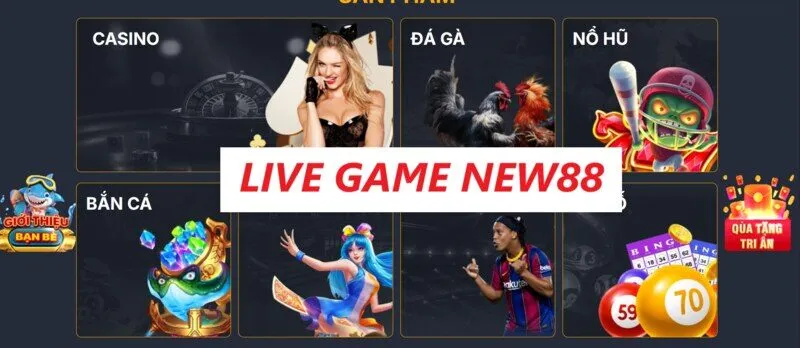 Các câu hỏi Q&A về Live game New88