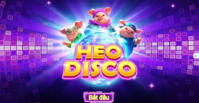 Heo Disco New88 – Sáng tạo và bắt mắt