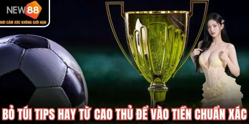 Bỏ túi tips hay từ cao thủ để vào tiền chuẩn xác