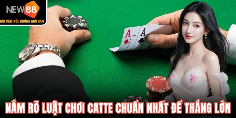 Nắm rõ luật chơi Catte chuẩn nhất để thắng lớn