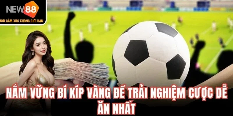 Nắm vững bí kíp vàng để trải nghiệm cược dễ ăn nhất