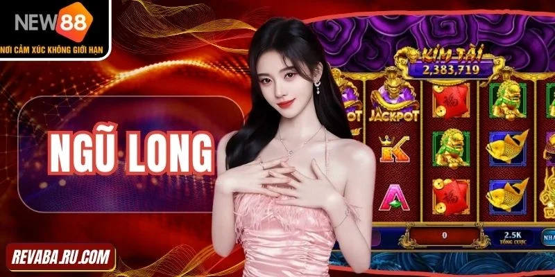 Hướng dẫn trải nghiệm Ngũ Long chi tiết cho người mới