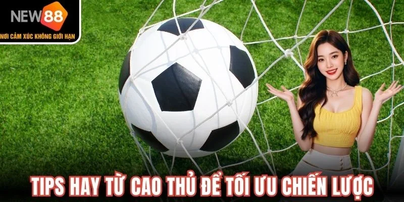 Tips hay từ cao thủ để tối ưu chiến lược 